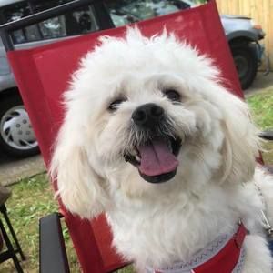 Meet your Posher, Carmen